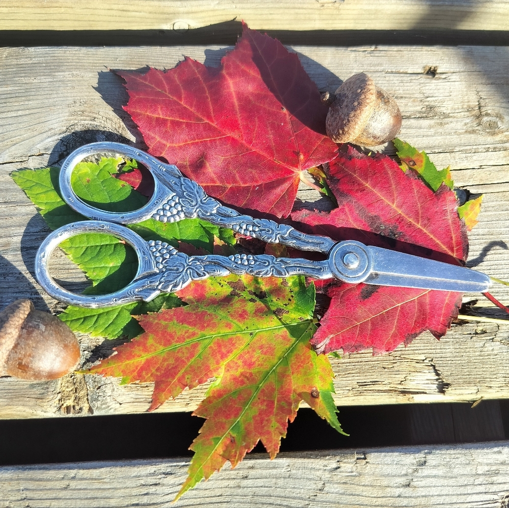 1950s Vintage MEMA Sweden Silver Plated Grape Vine Handle Scissors Folk